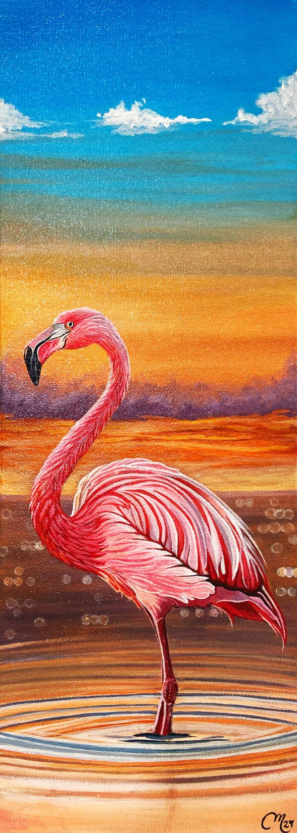Flamingo