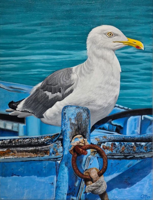 Seagull