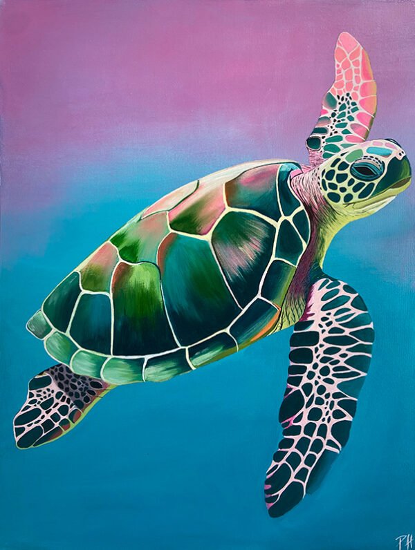 Pink Turtle