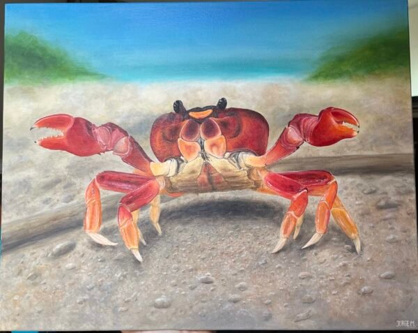 Red Land Crab