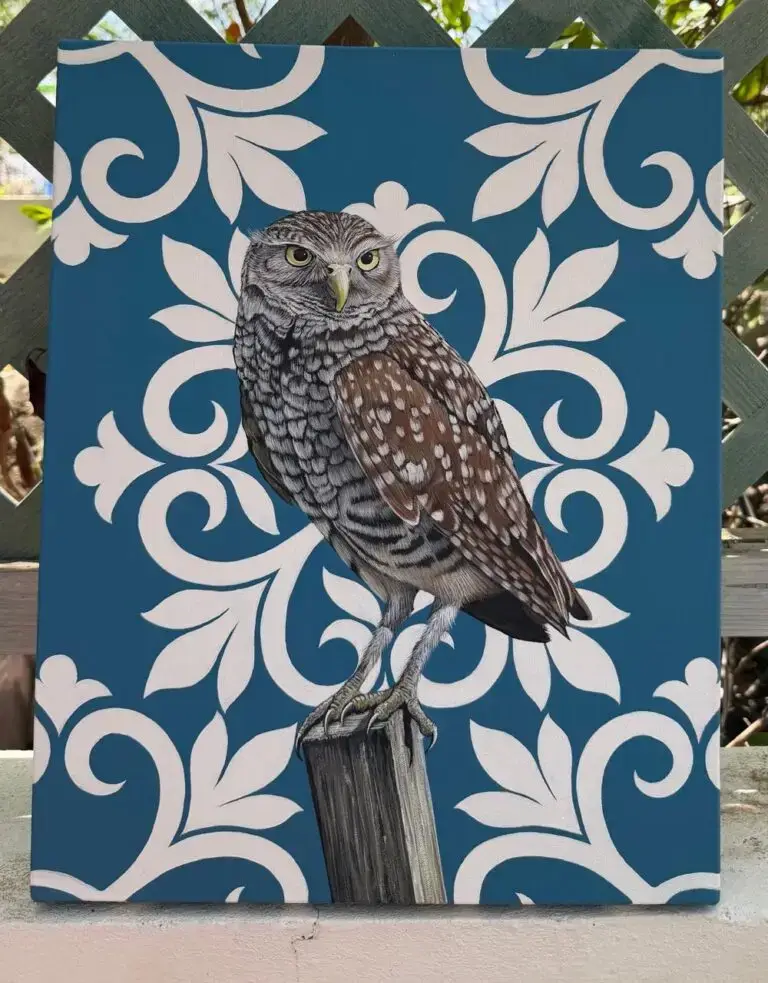 Shoco pequeño by Mauricio Mesa, original art from Aruba