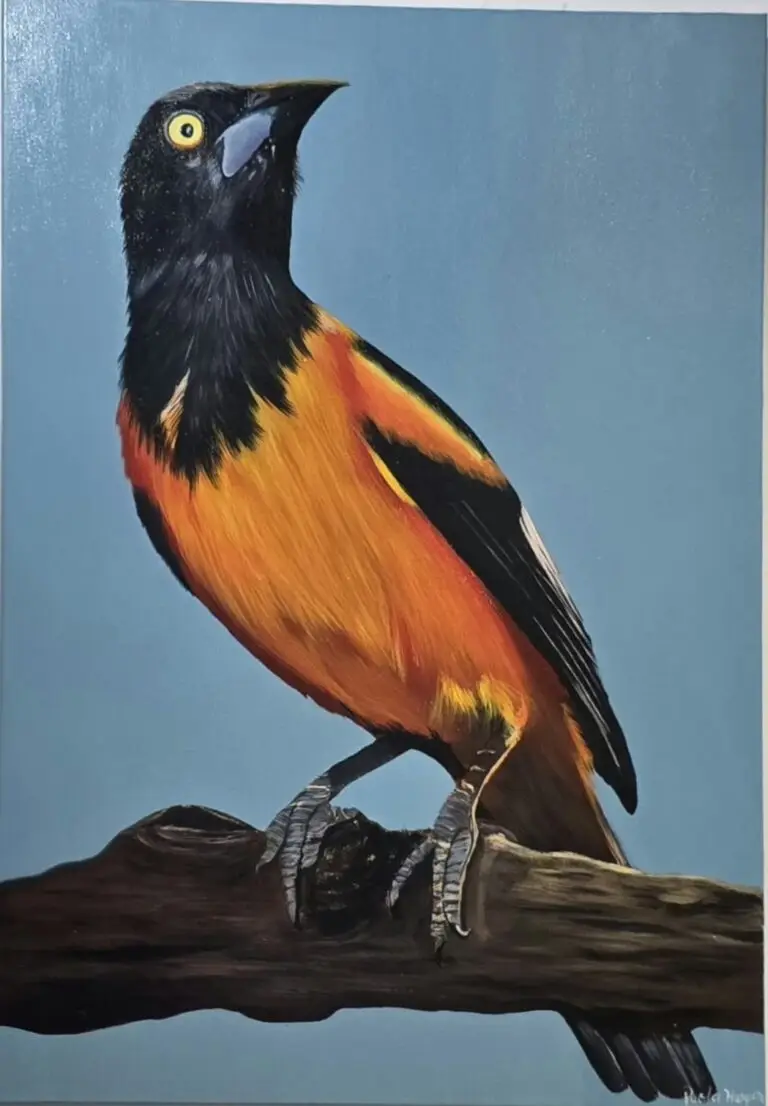 Aruba nature by Paola Harper, original art from Aruba