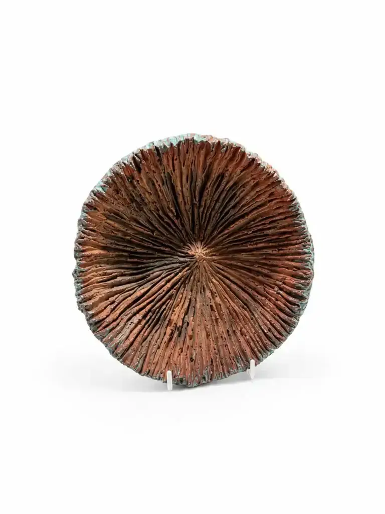 Bowl by Helena Hoes, original art from Aruba