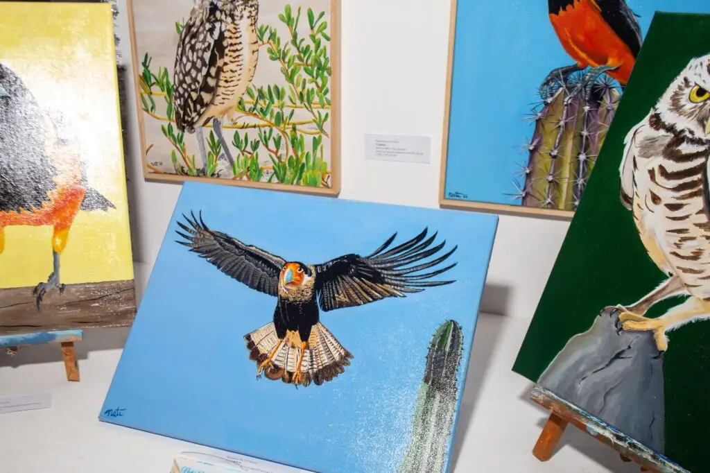 Paintings on show at the Aruba Christmas Fair 2023