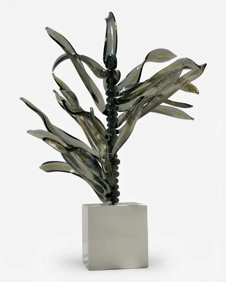 Spina Lucida